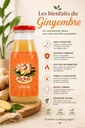 affiche-gingembre